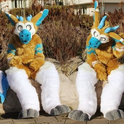 hiya Im Momo, a dutch angel dragon *chirp*
✂️ by MinibossMascottes