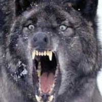 Bob (@blackcab66) 's Twitter Profile Photo Bob (@blackcab66) 's Twitter Profile Photo