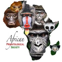 African Primatological Society(@SocietyAfrican) 's Twitter Profile Photo