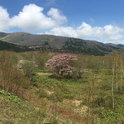 sapporokeisagyo's profile picture. 千葉在住　　エロい事大好き　舐めるの好き過ぎる40歳男