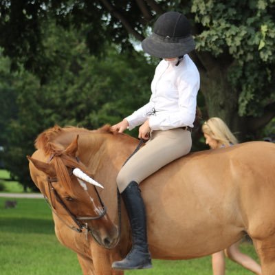 Pony squisher and allergic to everything