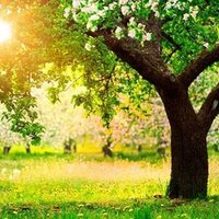 @PTHB_palliative_care (@pthb_pall_care) 's Twitter Profile Photo