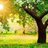 @PTHB_palliative_care