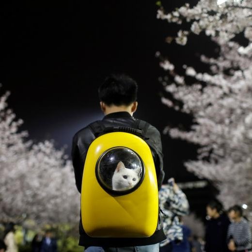 CRYPTO_PLASM's profile picture. 2 + 2 = 5