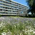 NVWC (@nvwculemborg) Twitter profile photo NVWC (@nvwculemborg) Twitter profile photo