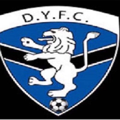 Dunshaughlin Youths Profile