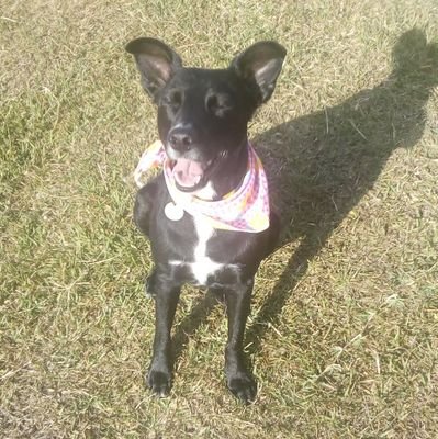 HERLOLOAIZA's profile picture. SI USTED CREE QUE LA EDUCACION ES CARA PRUEBE CON  LA IGNORANCIA