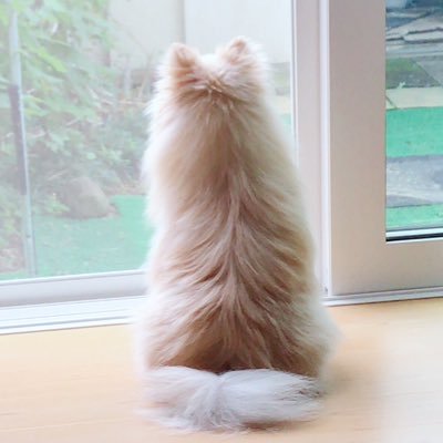 bryuuki25's profile picture. 染さま・もっくん・流司くん/ 刀剣乱舞/グランギニョル/リアフェ /エーステ/舞台俳優さんまったり応援中☆とっくの昔に成人済み🐾 ２次元→ガンダムSEED。🎮→FF7R。無言フォローしていたらすみませんm(_ _)m