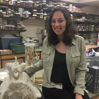 Emily Young (@eysci) 's Twitter Profile