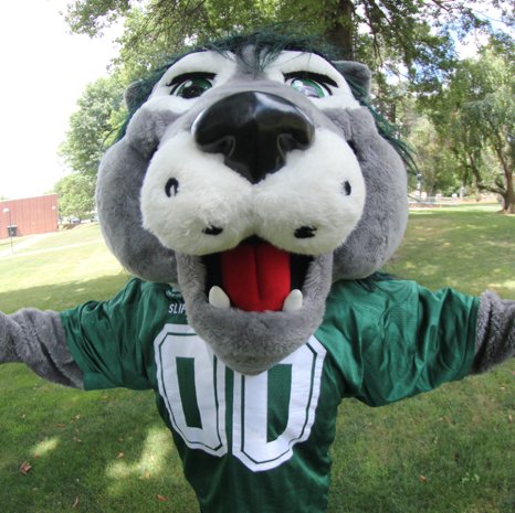 Follow us for info about upcoming Math Club meetings and activities! AND sick math memes/jokes😁
Sadly, no affiliation w/ Rocky the mascot
p.s. @sru_mathstat