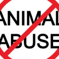CALLFORACAUSE (@callforacause1) 's Twitter Profile