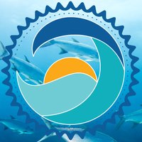 Stream2Sea 🦈 (@stream2sea) 's Twitter Profile