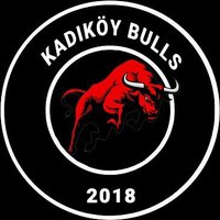 Kadıköy Bulls (@kadikoybulls_) Twitter profile photo