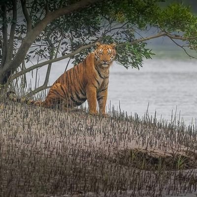 Aniket11510606's profile picture. Do what u love.. Love what u do