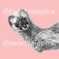 Belette Le Pink (@belettelepink) 's Twitter Profile