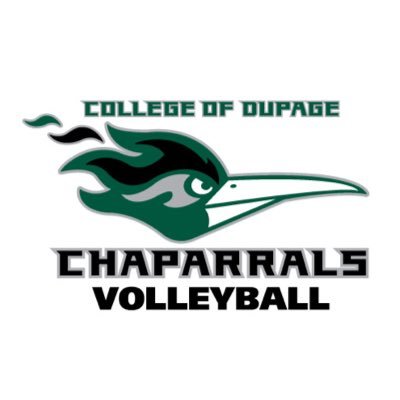 Official handle - College of DuPage volleyball program. 3x Womens’ National Champs (1998, 1999, 2022). 5th place in 2023!  Mens VB - 4th nationally in 2023!