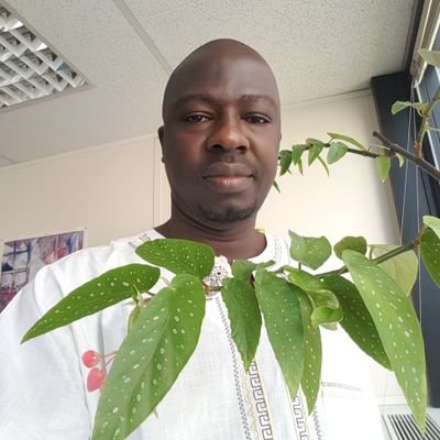 PhD in demography,
New York University Abu Dhabi (NYUAD),
Mortality and longevity in Africa, Methods for improving mortality data in Africa