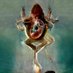 STRANGE NATURE Eco-thriller Film (@strangenature1) Twitter profile photo STRANGE NATURE Eco-thriller Film (@strangenature1) Twitter profile photo