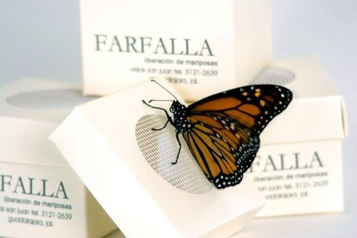 Liberación de Mariposas vivas para eventos especiales. Release live butterflies for special events. farfallaqroo@gmail.com