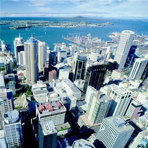 newsfromnz's profile picture. 