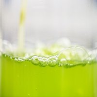 Deep Green Biotech Hub (@deepgreenhub) 's Twitter Profile