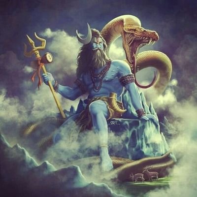 (काश एक दिदी होती प्यारी सी)
देश का भविष्य
(मोदी जी )
100% फोलो बैक
एक फौजी की आवाज