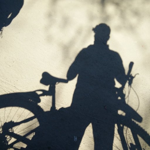 AndirNotes's profile picture. Professional software developer .Net/C#, Haskell/Ocaml/Prolog & other coding challenges.
Interests: fiction literature, bicycle and biathlon.