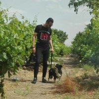 M.Mahboob (@m_mahboob1992) 's Twitter Profile