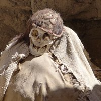 Mark Humphrey (@alkynyl_guy) 's Twitter Profile