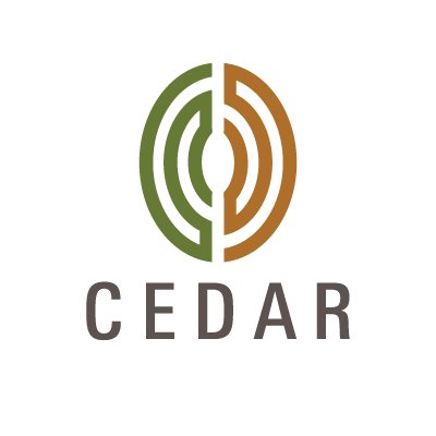 Cedar is a global strategy consulting, research, and analytics firm with a 35-year track record and clients across multiple industry sectors.