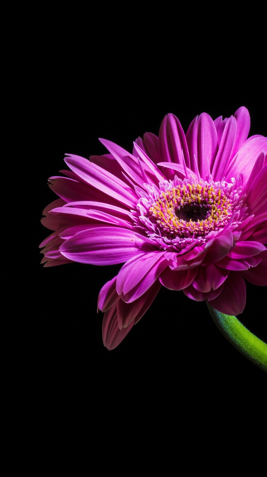 06201114's profile picture. 相互フォローしてます。 フォロバ100% 日本語垢のみ