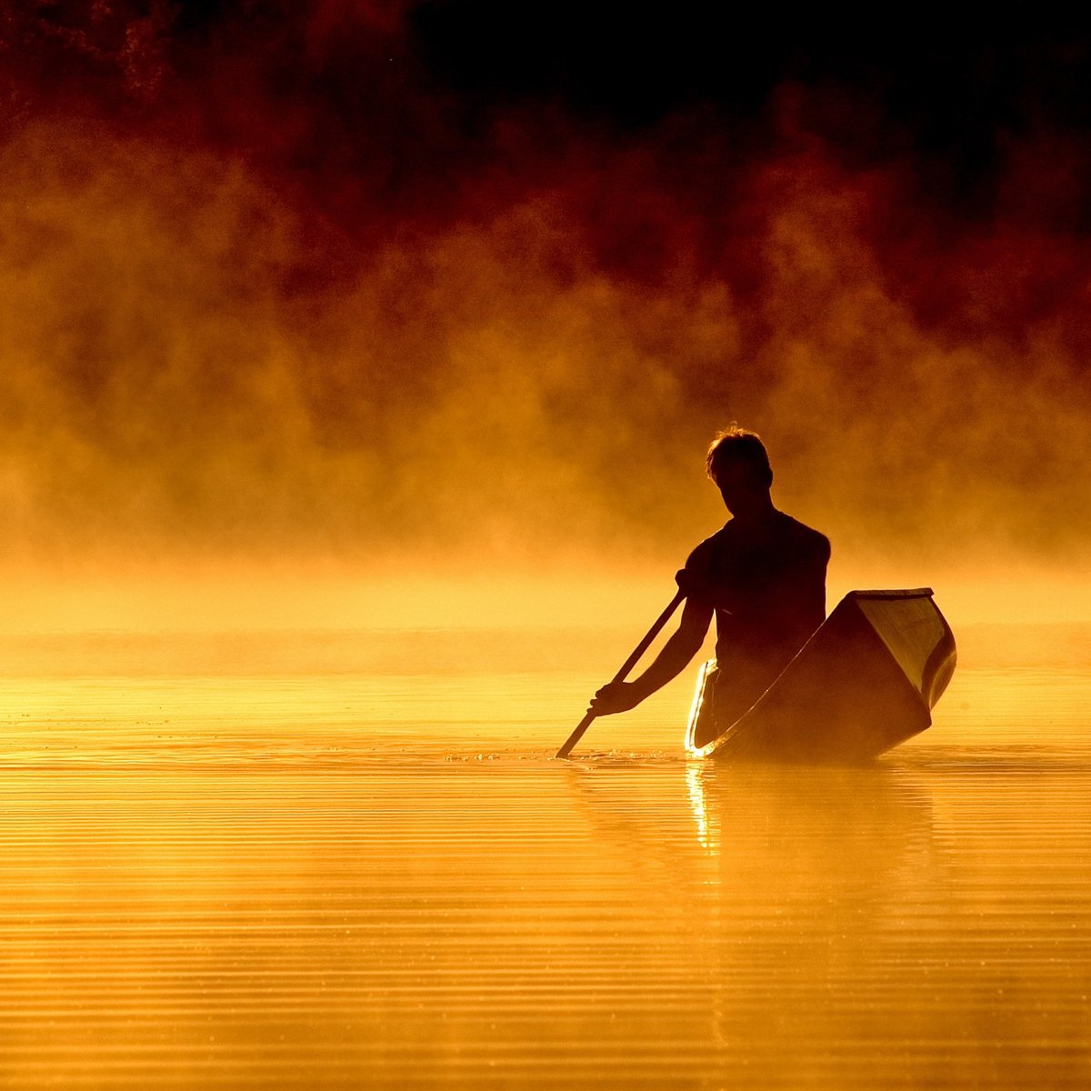 birgari35649219's profile picture. "Vareden'in adıyla insanlığa inen Nur"a hürmeten varız...

Şüphesiz Allah katında din İslam'dır