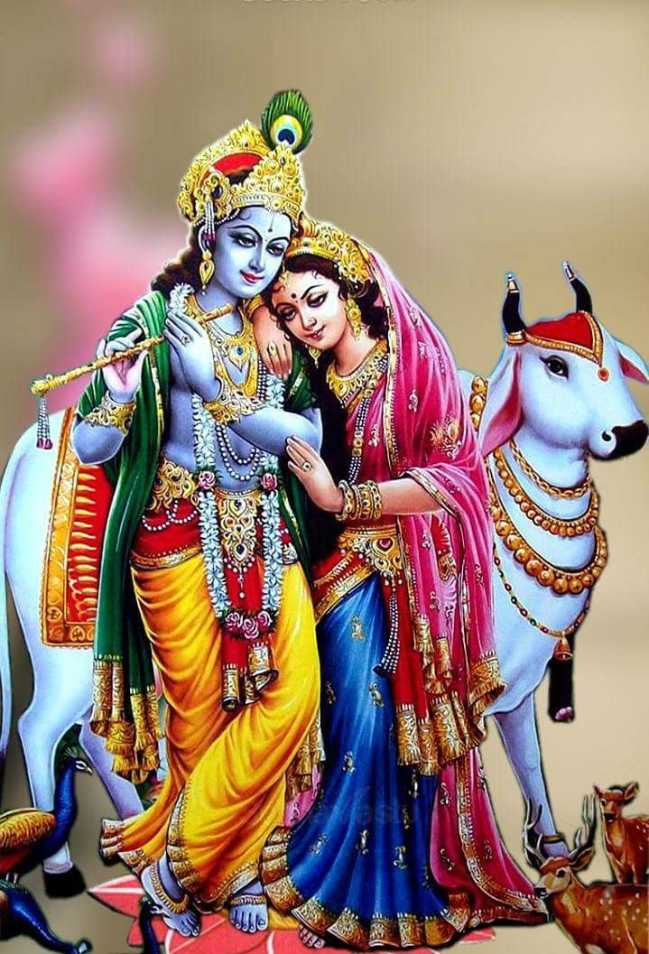 g22patel's profile picture. 