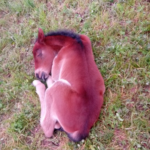 SusanSmith65's profile picture. Retweets and likes are endorsements of the tweet unless indicated otherwise - why like something I don't agree with?