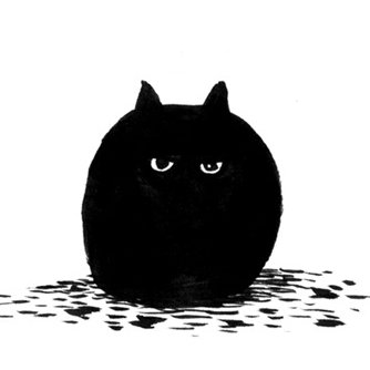 Jellicle cats are black and white
Jellicle cats are of moderate size
Jellicles jump like a jumping jack
Jellicle cats have moonlit eyes