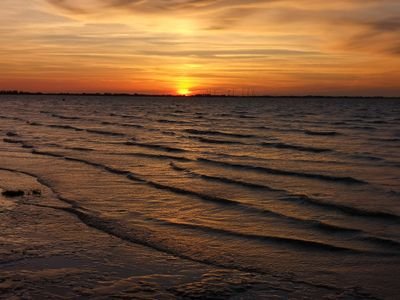 jansen254's profile picture. 