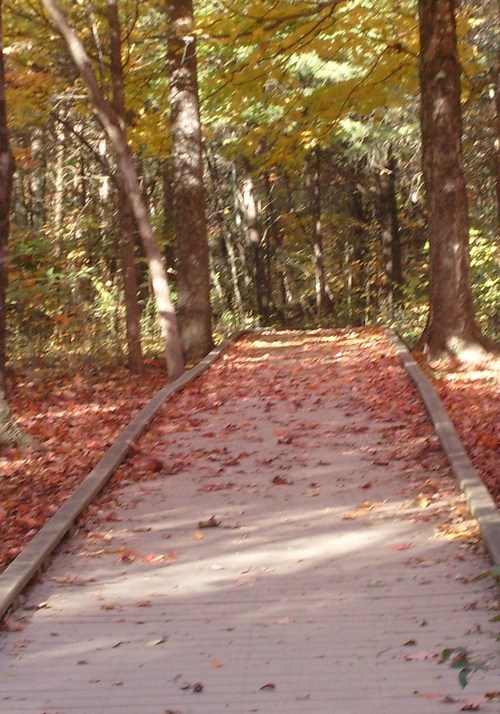 renewhite's profile picture. I am a nurse and a student.I have a wonderful family. I love my life.