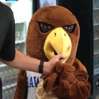 Sky View Hawk (@nebeldoug) 's Twitter Profile