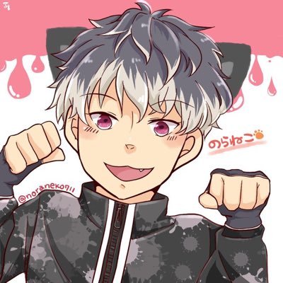 のらねこ🐾