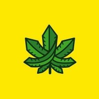 Maconharia |+18| π§π· (@dugreen4i20) 's Twitter Profile