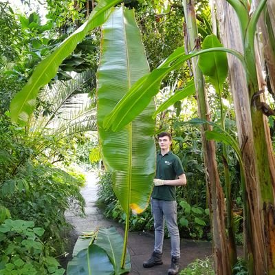 Horticulture Apprentice at The Royal  Botanic Gardens Edinburgh. Follow me to stay updated on my day to day all things horticulture, occasionally bonsai too!