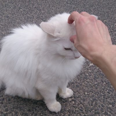 wing_0825's profile picture. アラサー 男性 社会人

オーガニック/筋トレ/ダイエット/健康/美容