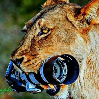 batista56923511's profile picture. God's son🙏