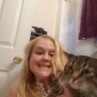 B.Ram (@bramenoodles) 's Twitter Profile