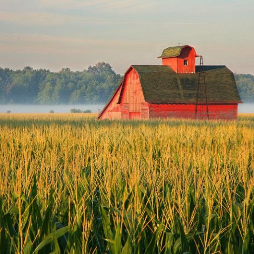 Strengthening rural schools and communities in East-Central Illinois.