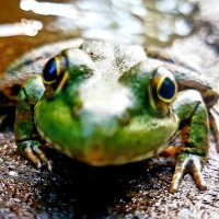 @SCDSBoutdoors (@scdsboutdoors) 's Twitter Profile
