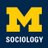 Michigan Sociology