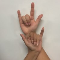 ASL Mustangs (@aslmustangs) 's Twitter Profile
