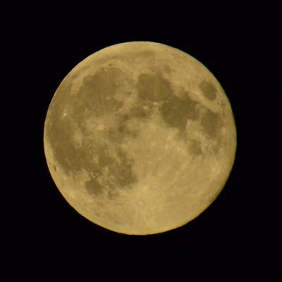 mstdlll's profile picture. 主に模型全般、写真撮影、ミリタリー界隈の人。極稀にボソッと呟く事があります…。