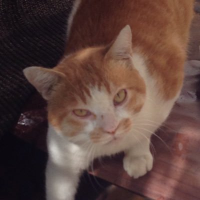 edge21528337's profile picture. 同人小説サークルedge。シティーハンター専用垢。気分のまま好き勝手に書いていきます。銃器にハアハアするダメな成人。pixivID 17032602 です。